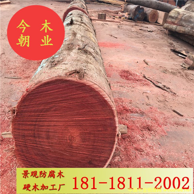 �R��(l��i)���}��@�־��^����ľ���̼ӹ��đ���ذ�ľ�������ܛ�ͤ����