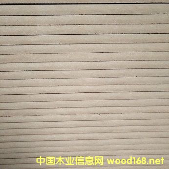 12�����w�� �ܶȰ��N������