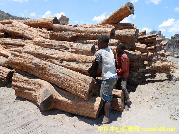 �����M��Īɣ�ȿ˼t�F��ԭľ