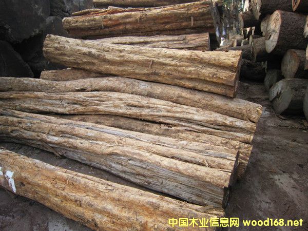 �����M(j��n)��Īɣ�ȿ˞�ľ�Ϲ�̴ԭľ