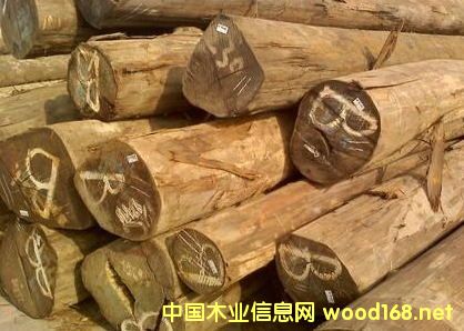 �����M�ھ�����ľԭľ