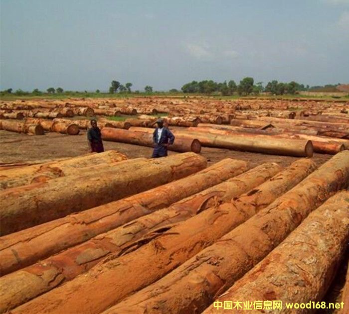 �����M(j��n)�ھ����܇����ԭľ