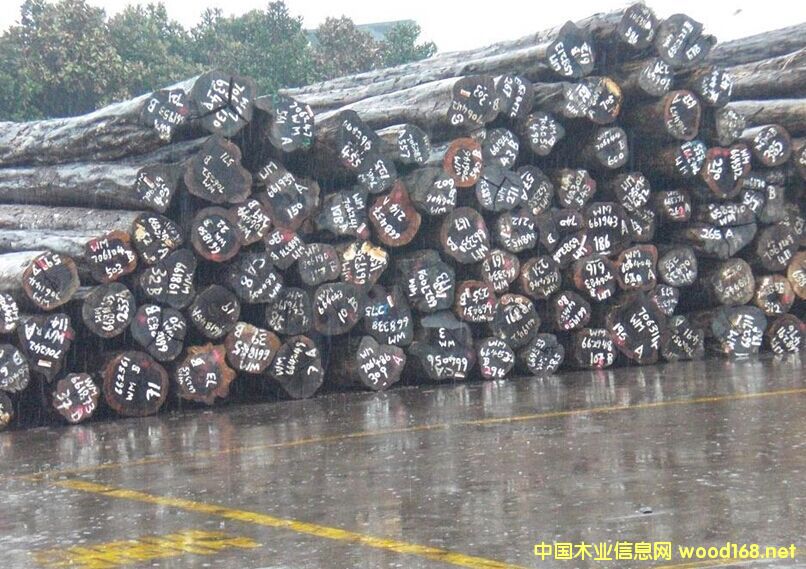 �����M(j��n)�ڷ���ԭľ�Fľ��ԭľ