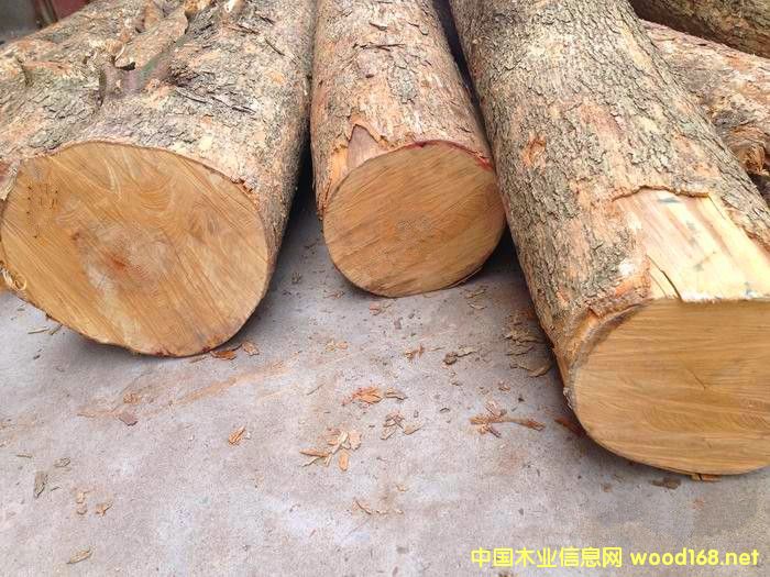 �����M(j��n)�ھ����z�ľԭľ