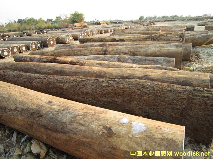 �����M(j��n)��Īɣ�ȿ�Ƥ��ԭľ