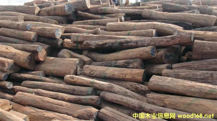 �����M(j��n)�ڴ�t��֦ԭľ