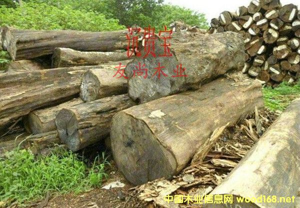 �����M(j��n)��Īɣ�ȿ˷��޳��F��ԭľ