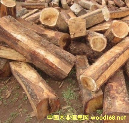 �����M(j��n)�ڴ����̴ԭľ