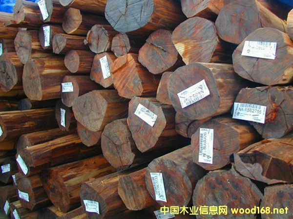 �����M(j��n)���K�����߼yľԭľ