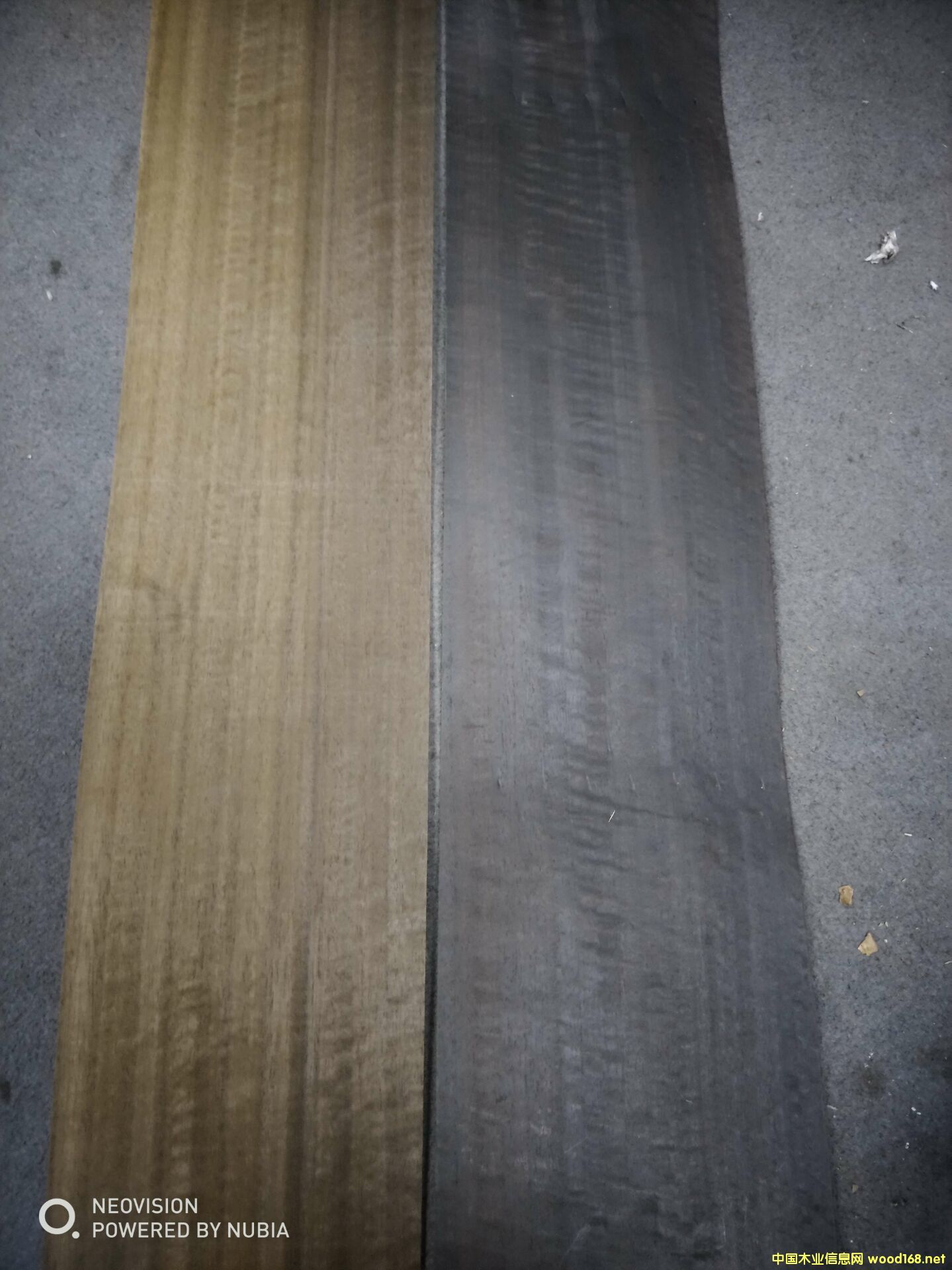 染色木皮的詳細(xì)介紹