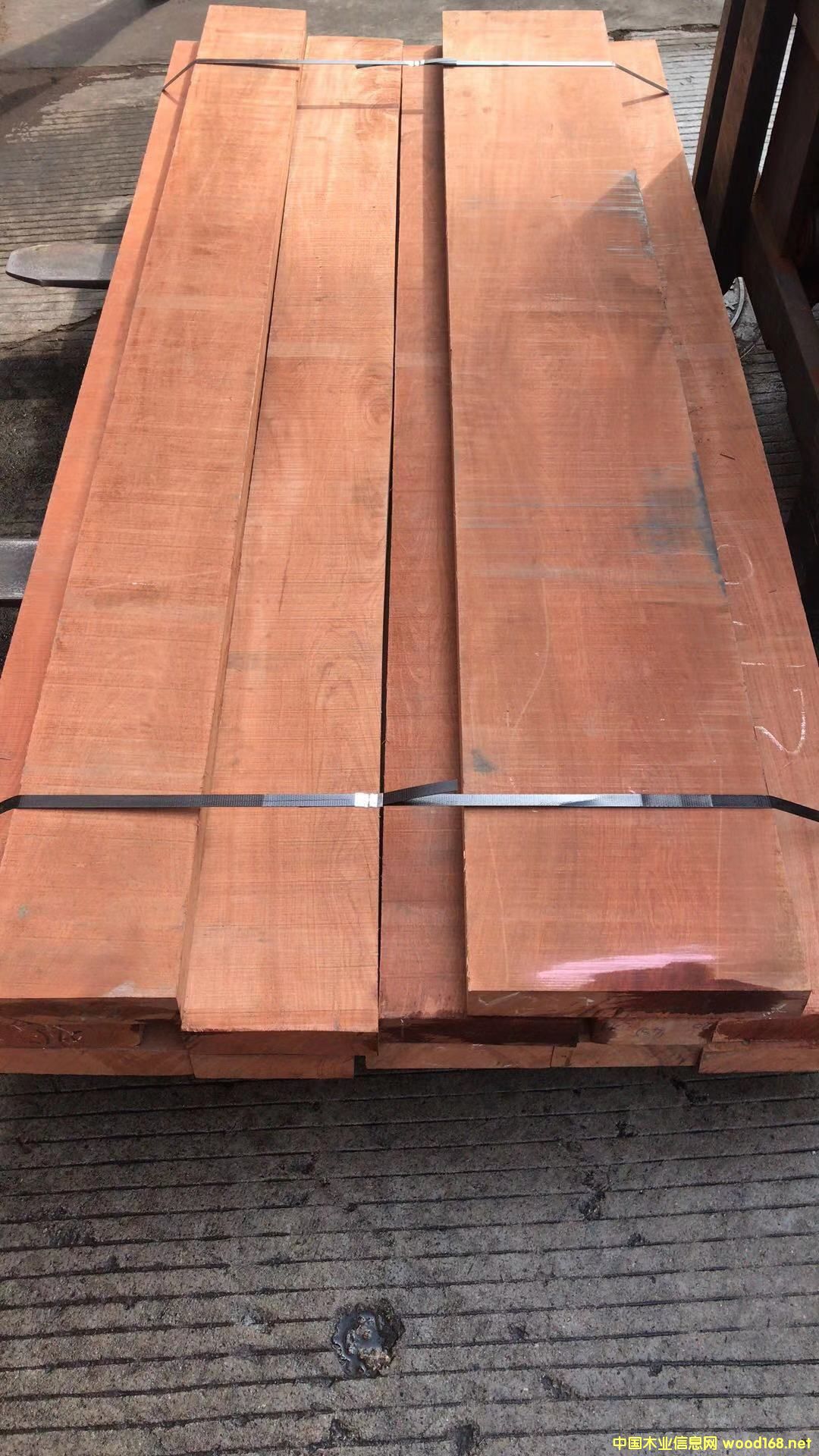 花梨的詳細(xì)介紹