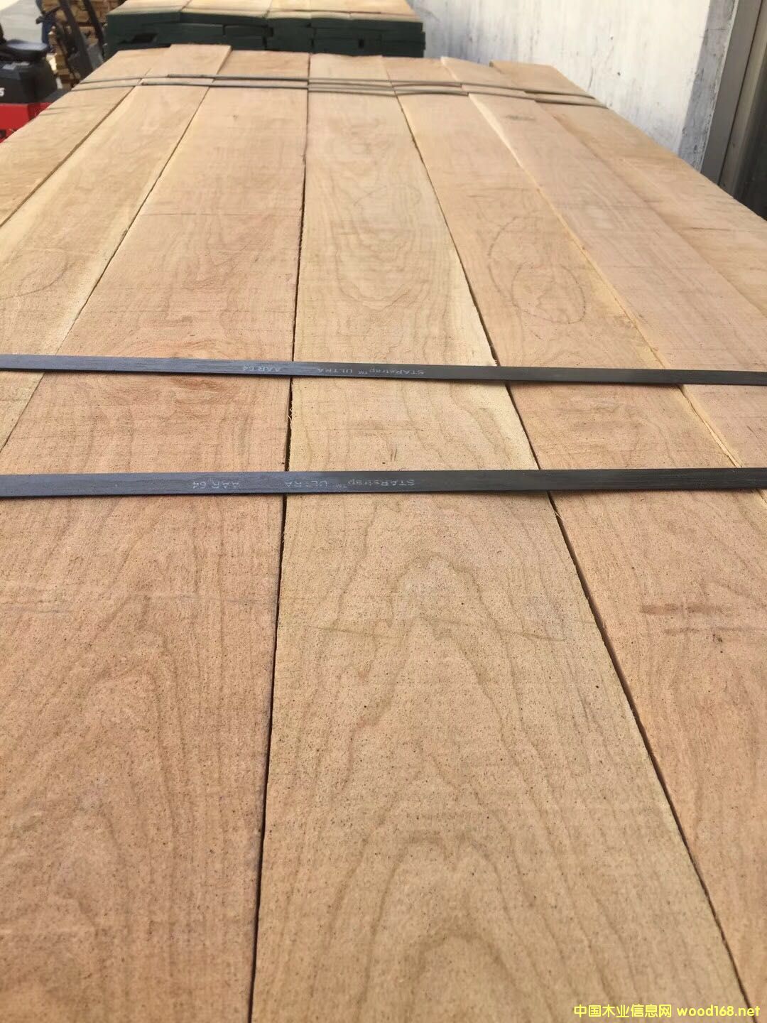 櫻桃木的詳細(xì)介紹