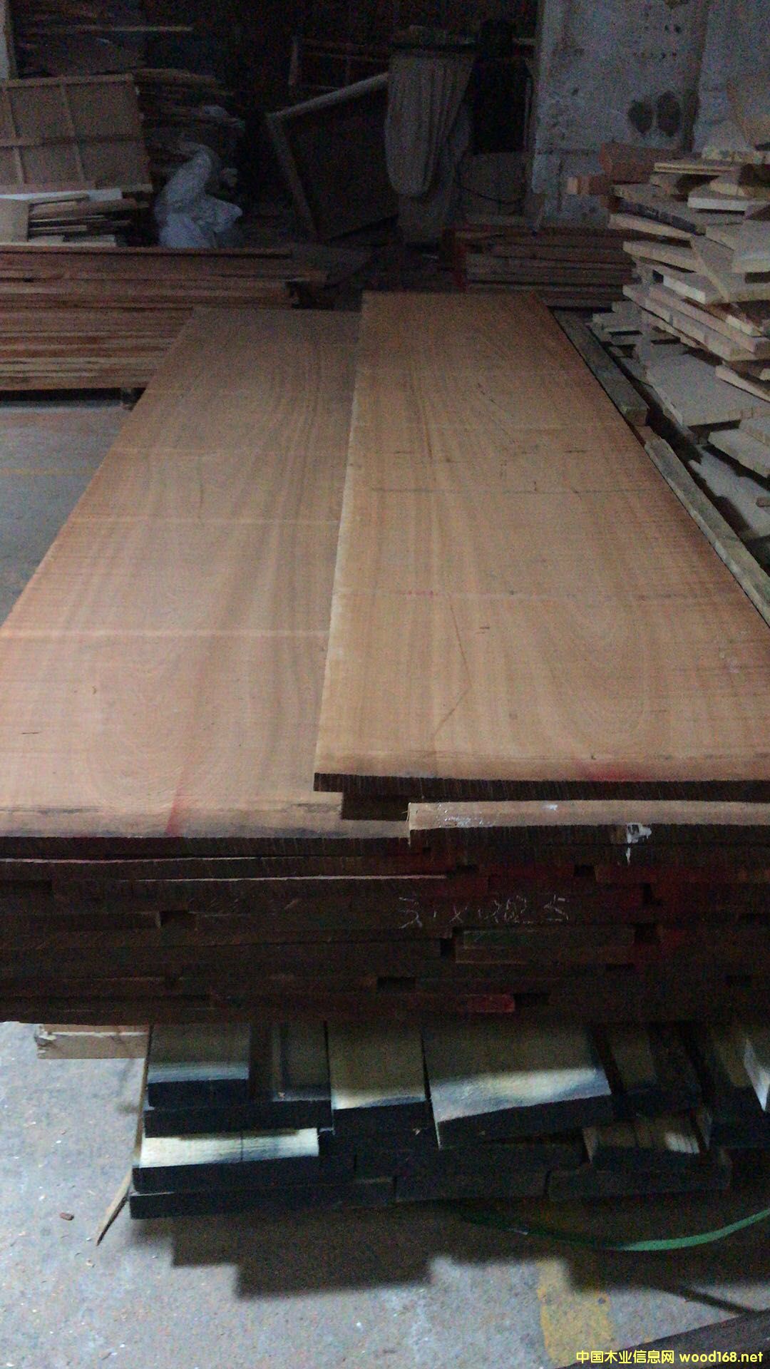 沙比利的詳細(xì)介紹