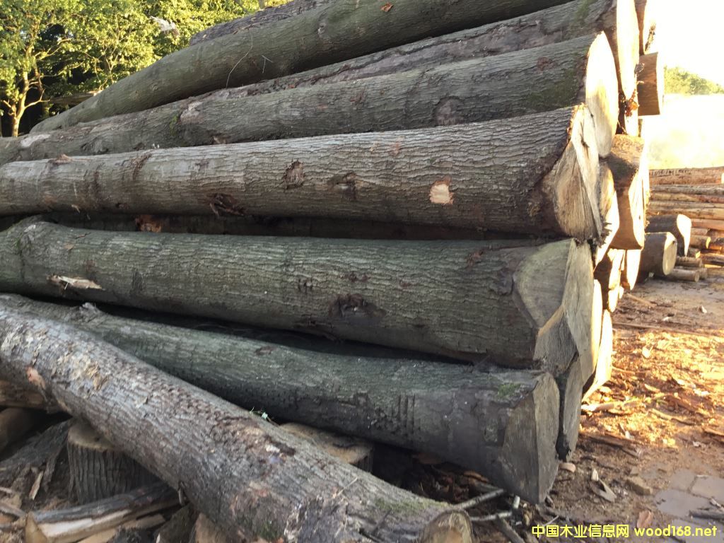 ���m����