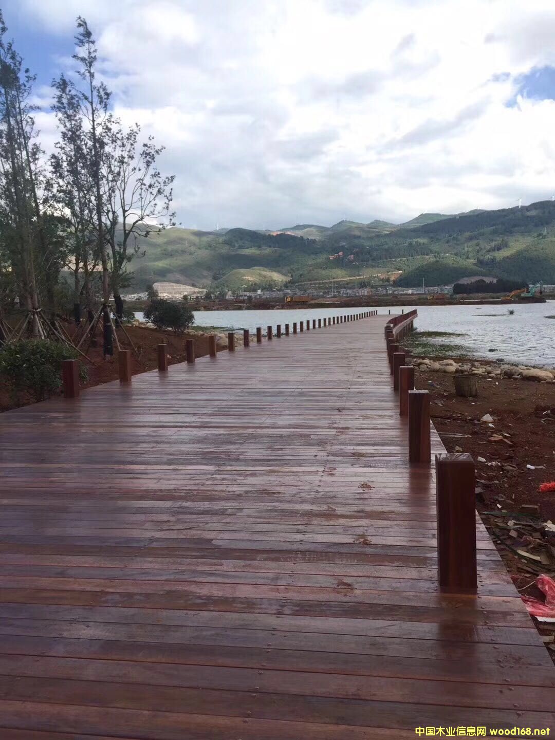 ����(gu��)�����ɷ���ľ��Ԕ��(x��)��B