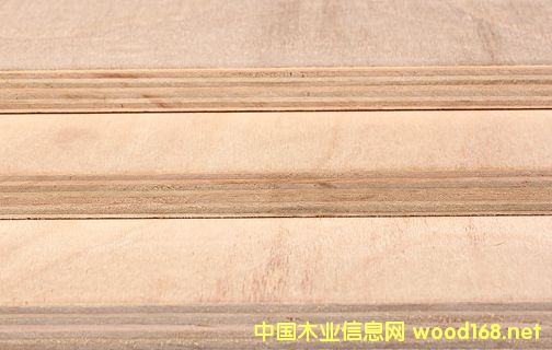 夾板的詳細(xì)介紹