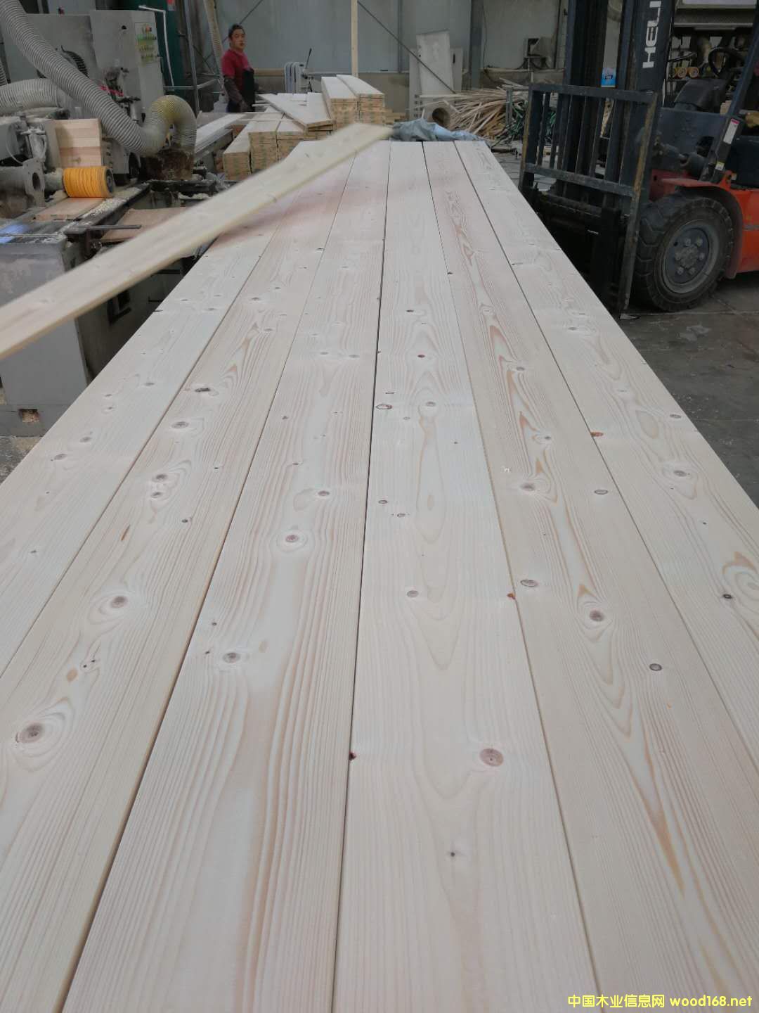 19�����Ԕ��(x��)��B