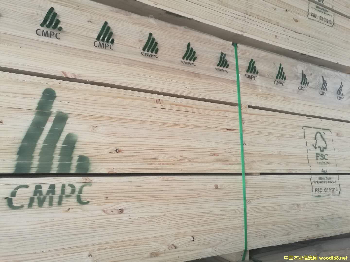 輻射松的詳細(xì)介紹