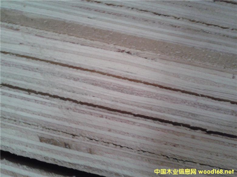 [��] �S��ֱ����(y��ng)��ľо�z�ϰ� EO/E1��(j��)���ϰ����A����Ӱ��