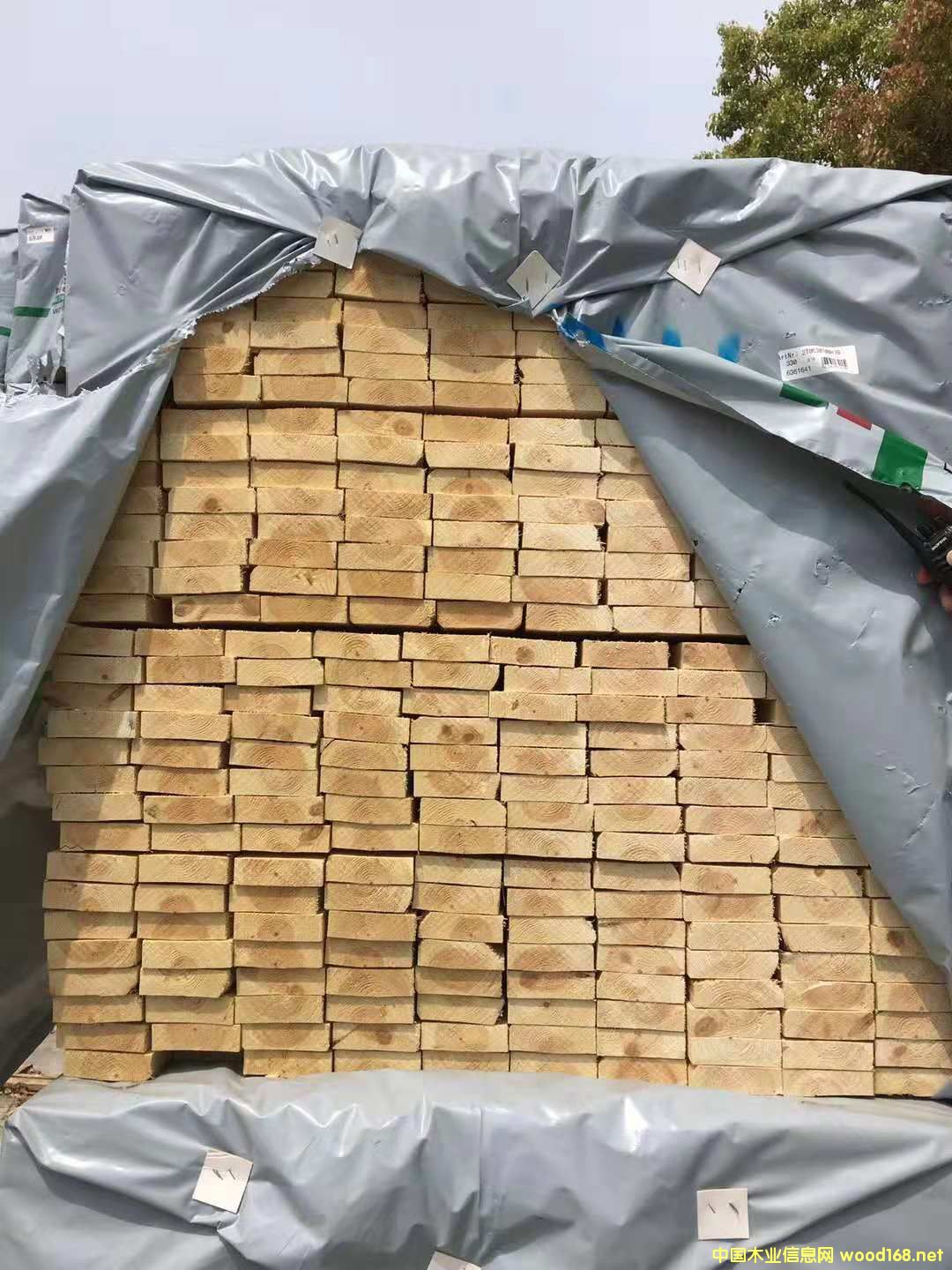 ������ ���ɰ��