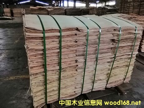 ���zľ��Ɇΰ�