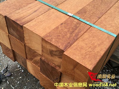 �Ϻ��̈́�ľ���l(f��)�Ј� �̈́�ľ�����Xһ��