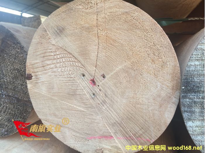 �Fɼľ�S�� ̫�}�Fɼ�Ž�ľ�����l(f��)