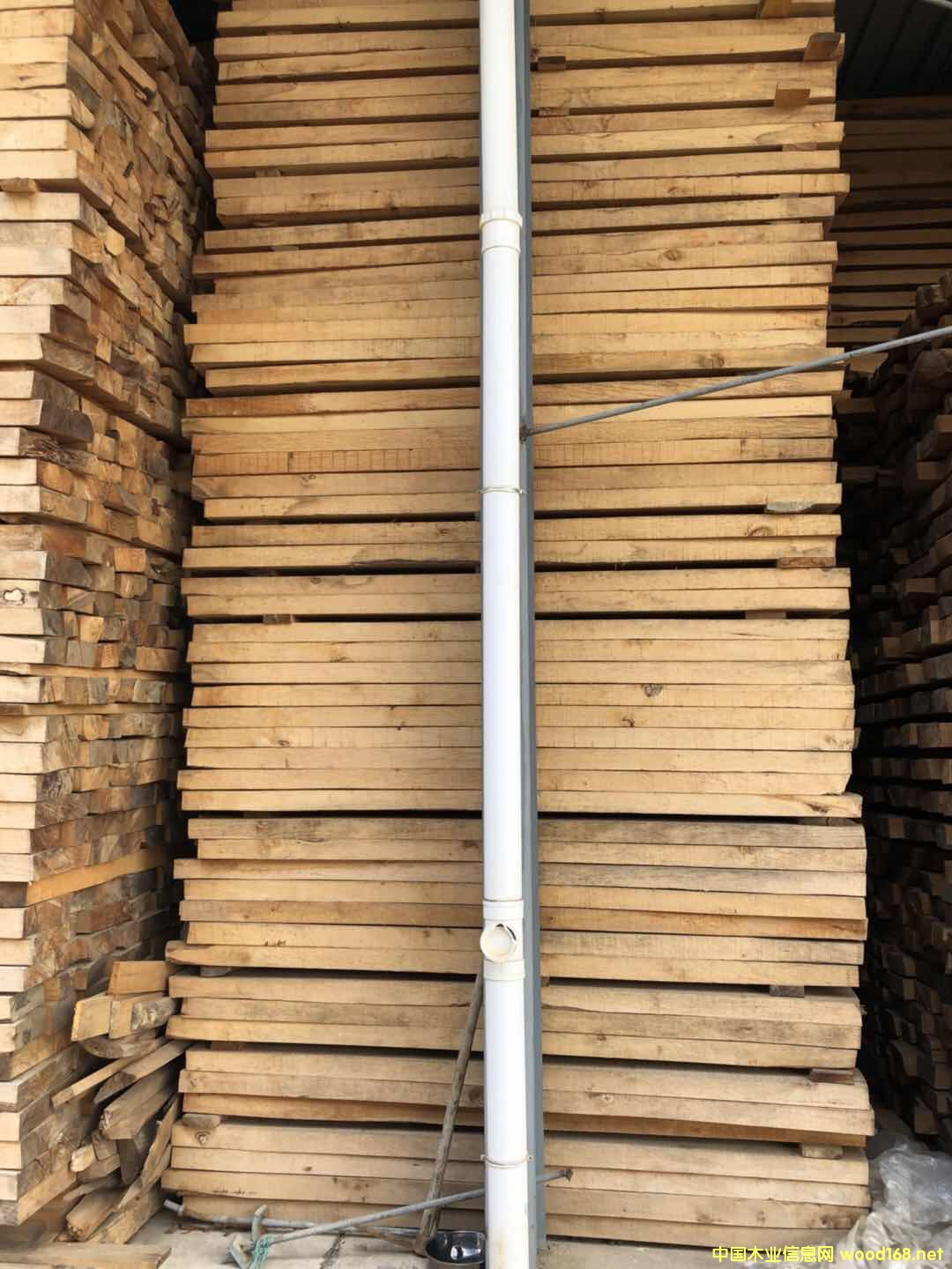 冬瓜木的詳細(xì)介紹