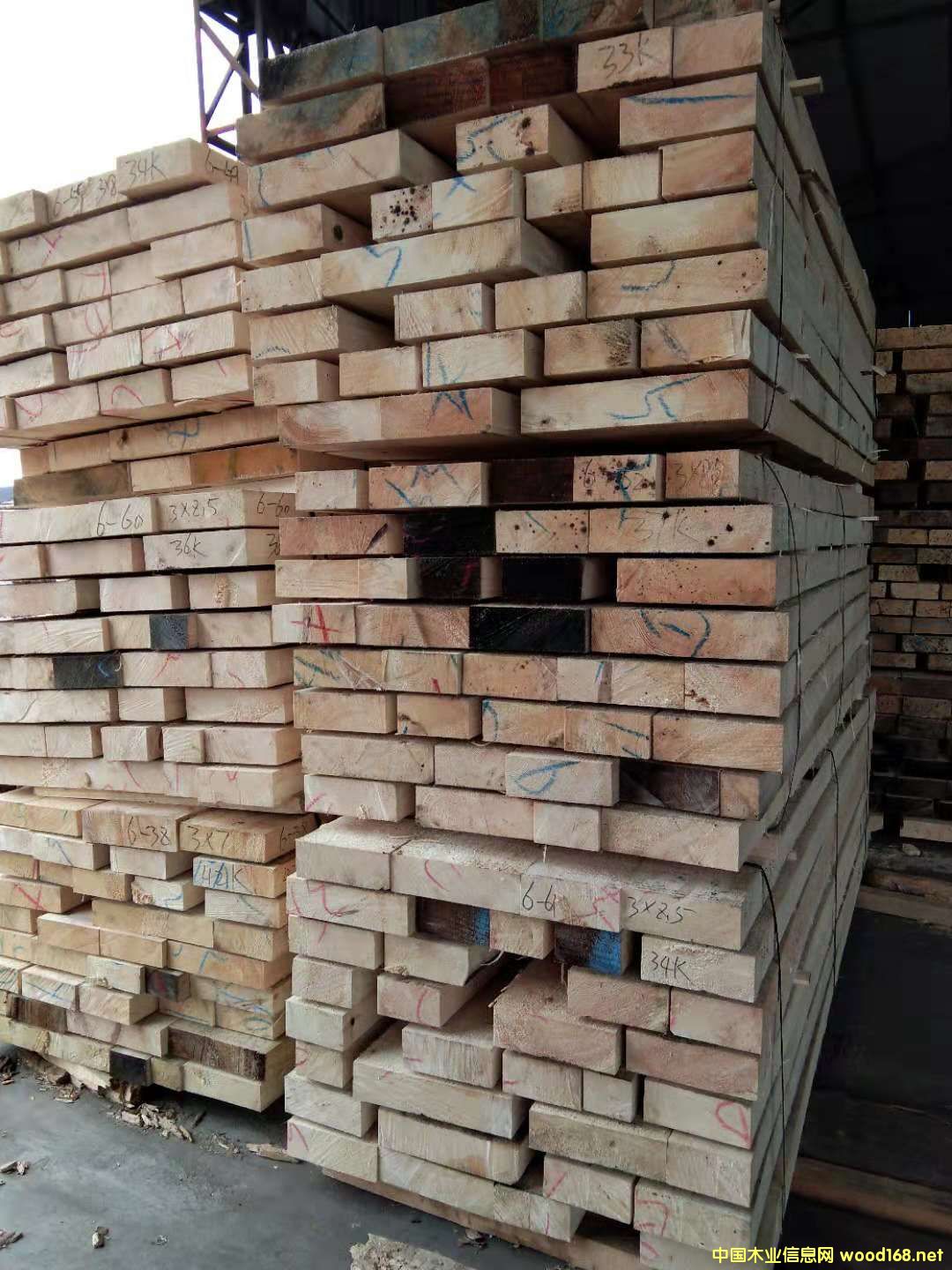 ��ɼ�o(w��)�Y(ji��)��