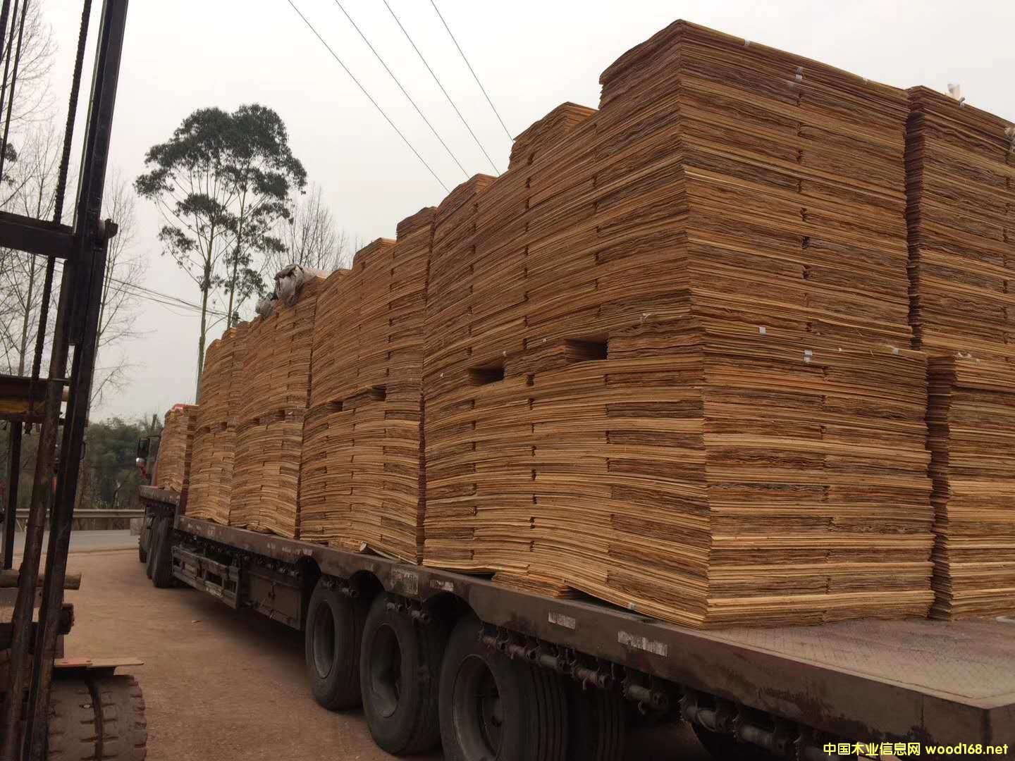 板材的詳細(xì)介紹