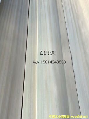 ��(y��u)�|��Ȼ��ɳ����ľƤ