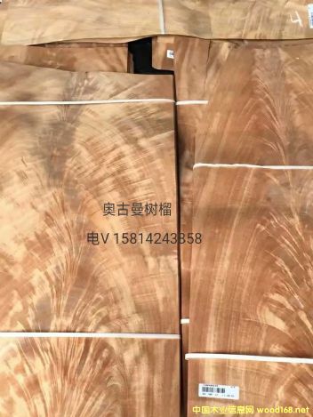 ��(y��u)�|(zh��)��Ȼ�W��������ľƤ