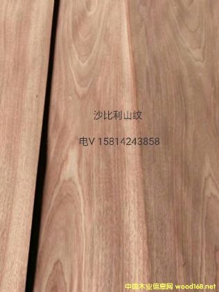 ��(y��u)�|��Ȼɳ����ɽ�yľƤ