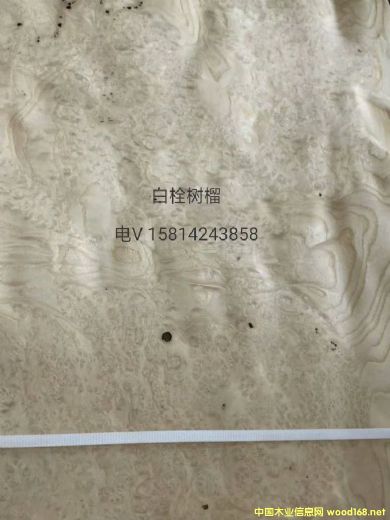 ��(y��u)�|(zh��)��Ȼ��˨����ľƤ