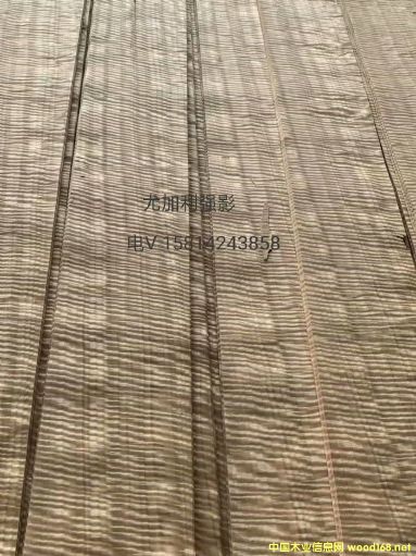 ��(y��u)�|(zh��)��Ȼ�ȼ�����(qi��ng)ӰľƤ