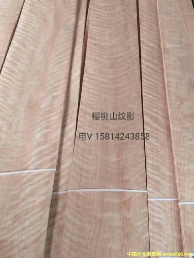 ��(y��u)�|(zh��)��Ȼ����ɽ�yӰľƤ