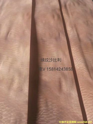 ��(y��u)�|��Ȼ��yɳ����ľƤ