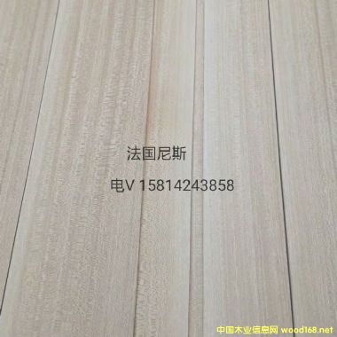 ��(y��u)�|(zh��)��Ȼ������˹ľƤ