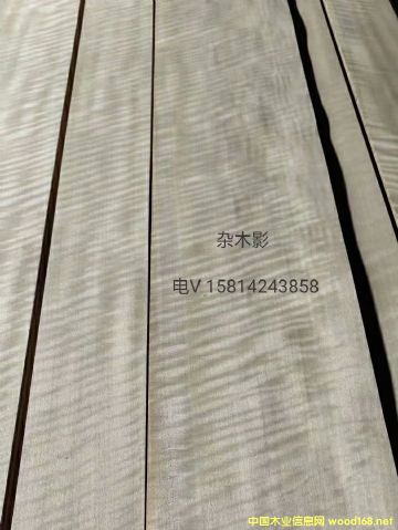 ��(y��u)�|(zh��)��Ȼ�sľӰľƤ