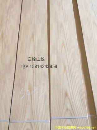 ��(y��u)�|(zh��)��Ȼ��˨ɽ�yľƤ