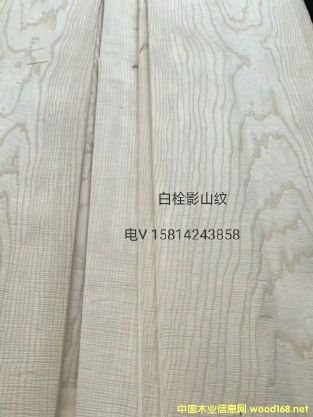 ��(y��u)�|(zh��)��Ȼ��˨Ӱɽ�yľƤ