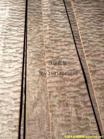 ��(y��u)�|(zh��)��Ȼ��y����ľƤ