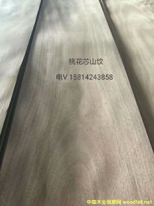 ��(y��u)�|(zh��)��Ȼ�һ�оɽ�yľƤ