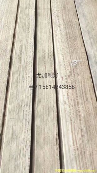 ��(y��u)�|(zh��)��Ȼ�ȼ���ӰľƤ