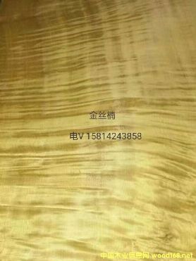 ��(y��u)�|(zh��)��Ȼ��z�ľƤ