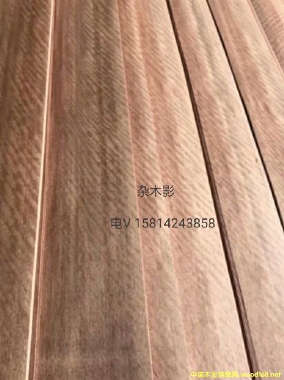 ��(y��u)�|(zh��)��Ȼ�sľӰľƤ