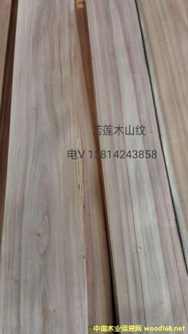 ��(y��u)�|(zh��)��Ȼ��ɏľɽ�yľƤ