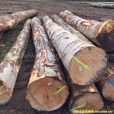 �W�ޗ�ľ��Ԕ��(x��)��B