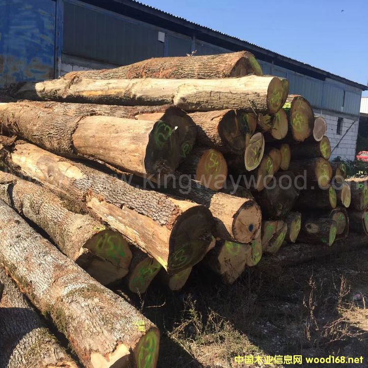 �W�ް���ԭľABC��