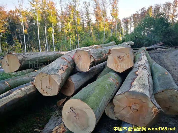 �����W�ޙ�ľԭľAB��ABC��